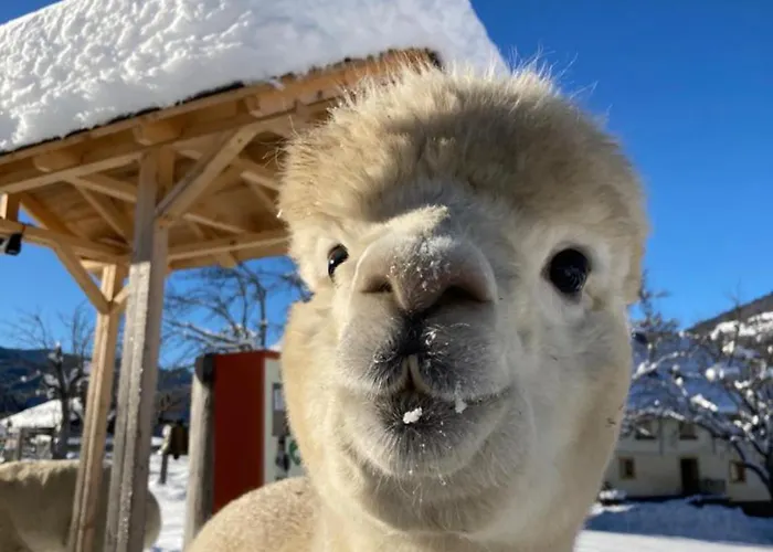 Esebeck - Blick Auf Altstadt Hébergement de vacances