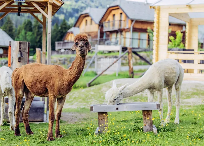Hébergement de vacances Esebeck - Blick Auf Altstadt Murau