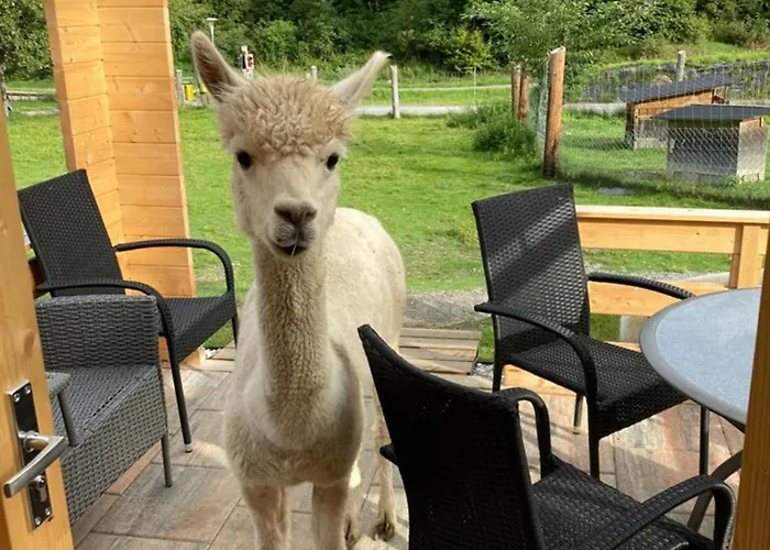 Esebeck - Blick Auf Altstadt *
